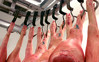 Wypadek w zakładzie mięsnym koło Ostródy. Maszyna do obróbki mięsa włączyła się, gdy w środku był człowiek